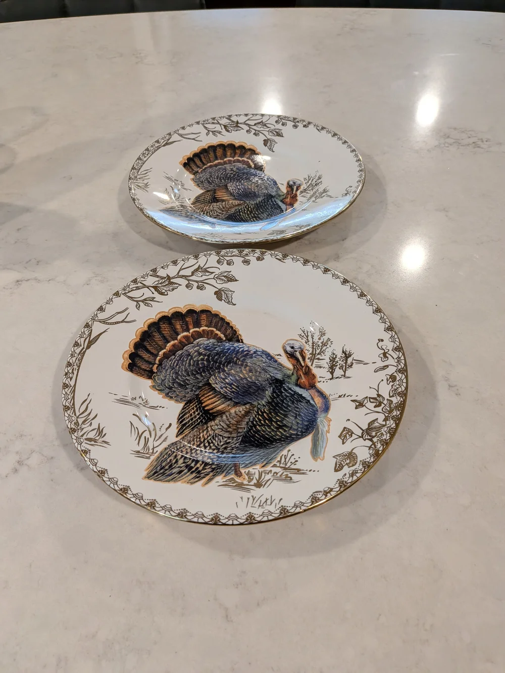 Vintage PorceTurkey Thanksgiving Dinner Plates - White and Brown Porcelain Set2